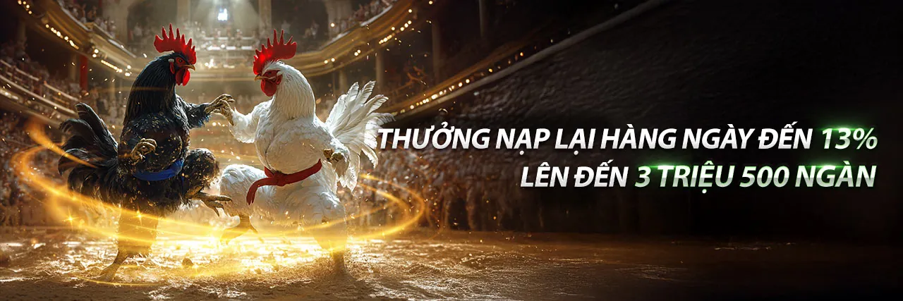 Trường gà Thomo trực tiếp hấp dẫn tại 123 casino với hình ảnh sắc nét